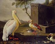Adriaen Coorte Pelican and ducks in a mountain landscape or Oriental Birds oil painting on canvas